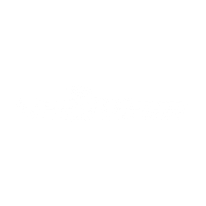 Teckwrap a Berti Fólia kiemelt partnerei